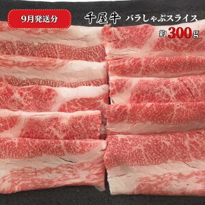 yӂ邳Ɣ[ŁzIׂ   牮 a јa Y uh oԃXCX 300g A5 AH R V yY ē Ԃ Ă J[  ǂ a5 