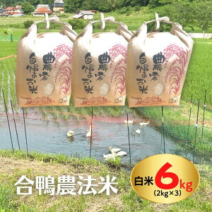 yӂ邳Ɣ[Łzߘa7NY   Iׂ Ђ 6kg 2kg×3 _@ RVqJ _sgp w엿sgp _@ ٓ ɂ 6kg 6L 2kg 2L   