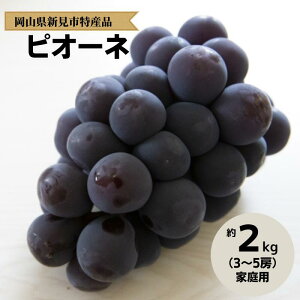 �y�ӂ邳�Ɣ[�Łz����_�� �s�I�[�l ��2kg 3�`5�[ ���ƒ�p �y��s�\�� 9�����珇�������z