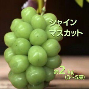 yӂ邳Ɣ[Łzs\ VC}XJbg 2kg 2L 3`5[ Ԃǂ  }XJbg 2kg 2L 3[ 4[ 5[ R V In͔| In  Â 炲ƐHׂ Yn lC  