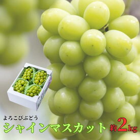 【ふるさと納税】シャインマスカット 約 2kg 3〜4房 もりおか農園 よろこび ぶどう 岡山【 先行予約 10月上旬から順次発送】