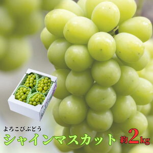 yӂ邳Ɣ[ŁzVC}XJbg  2kg 3`4[ 肨_ 낱 Ԃǂ Ry s\ 10{珇z