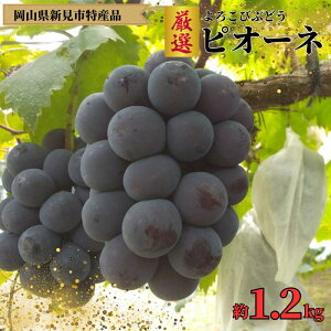 yӂ邳Ɣ[ŁzsI[l  1.2 kg 2[ 肨_ 낱 Ԃǂ uhE  Iy s\ 9{珇z