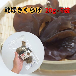 yӂ邳Ɣ[ŁzVY 炰 20g×6