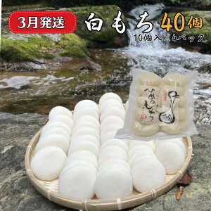 yӂ邳Ɣ[ŁzIׂ!!  40 i10500g×4pbNjqm`100gp Iׂ ۖ    aَq  qm` ^pbN G 邱 񂴂