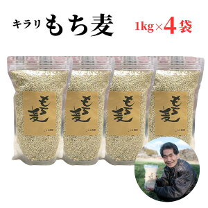 yӂ邳Ɣ[Łzy2025N8甭zIׂ L 2kg 4kg 2 4 1kg 唞   L`    lC h{ H@ ^{P ^{