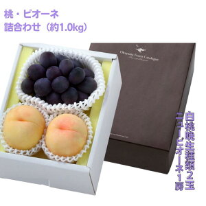 �y�ӂ邳�Ɣ[�Łz�l���� �� �Ԃǂ� ��s�\�� �ʕ� ���� �Ӑ��� 2�� �j���[ �s�I�[�l 1�[ ���v��1.0kg ���� ���� ���R���Y ���Y �t���[�c �ʕ� �M�t�g �V�� �V���s