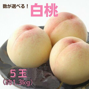 �y�ӂ邳�Ɣ[�Łz�����I�ׂ� �� ��s�\�� ���� 3�� 800g 5�� 1.3kg ���� ���� ���R���Y ���Y �t���[�c �ʕ� �M�t�g �ʕ� �f�U�[�g �X�C�[�c �ʓ� �������� �Â� �_�炩�� ��i �V�� �V���s