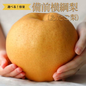 【ふるさと納税】 備前横綱梨 サイズが選べる あたご梨 果物 フルーツ デザート 和梨 おすすめ 人気 お取り寄せ グルメ ギフト 贈り物 プレゼント 贈答 自宅用 産地直送 旬 大玉 大きい 岡山県 お歳暮 梨 なし