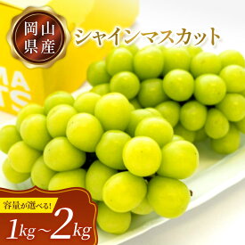 【ふるさと納税】 先行予約 シャインマスカット マスカット 1.2kg 2房 2kg 3房 4房 ぶどう 種無し おすすめ 人気 美味しい 甘い 大きい プレゼント お裾分け ギフト 贈り物 贈答 贈答用 夏の贈り物 岡山 新見 特産品 露地 A級食材 フルーツ 果物 送料無料 化粧箱入り 少量