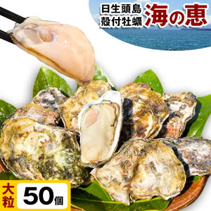 yӂ邳Ɣ[Łzy  kty Čb Iׂ HׂTCY 40 嗱 30 50 { fs1{3ɏoח\(yj)ty R Os