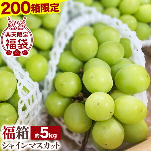 yӂ邳Ɣ[Łzy200z ߘa8NYVC}XJbg 2026N  5kg (5`10[) yXs8{-10oׁt R Os ʕ t[c Ԃǂ }XJbg 