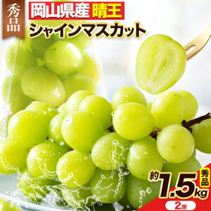 yӂ邳Ɣ[Łzy2025N / 2026Ns\z t[c ʕ }XJbg RY Gi VC}XJbg Ԃǂ   1kg (2[) or  1.5kgi2[)s8{-10oׁtyX 