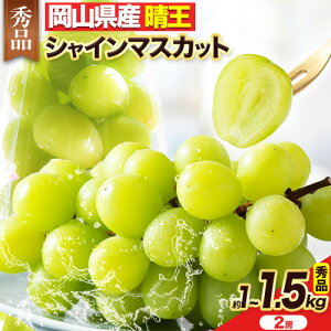 yӂ邳Ɣ[Łzy2025N / 2026Ns\z t[c ʕ }XJbg RY Gi VC}XJbg Ԃǂ   1kg (2[) or  1.5kgi2[)s8{-10oׁtyX 