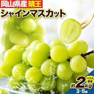 yӂ邳Ɣ[Łzy2026N stzVC}XJbg 3`5[ 2kg nEX͔| LГyXs7{-8{oׁtR Os RY uhE Ԃǂ  t[c ʕ 