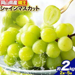 yӂ邳Ɣ[Łzy2025N / 2026Ns\z t[c ʕ }XJbg RY VC}XJbg Ԃǂ   2kg 2[ ~ 5[s8{-11{oׁtyX R Os 