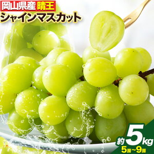 yӂ邳Ɣ[Łzy2025N / 2026Ns\z }XJbg RY VC}XJbg  5kg ( 5~9[ ) LГyX s8{`11oׁtR Os }XJbg Ԃ