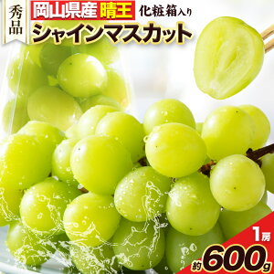 yӂ邳Ɣ[Łzy2025N / 2026Ns\zVC}XJbg Gi 600g 1[ LГyXs8{-10{oׁtR Os RY uhE Ԃǂ  t[c ʕ 
