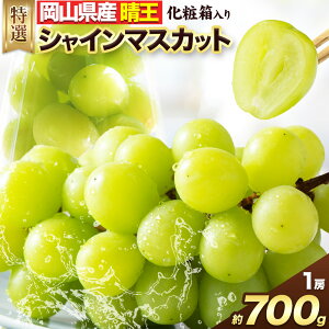 yӂ邳Ɣ[Łzy2025N / 2026s\zVC}XJbg I 700g 1[ LГyXs8{-10{oׁtR Os RY uhE Ԃǂ  t[c ʕ 