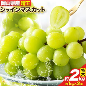 yӂ邳Ɣ[Łz y2025N / 2026Ns\z VC}XJbg Ԃǂ   TCY 2[ (2kg) yX s8{-11oׁt R Os RY t[c ʕ }