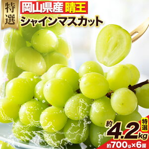 yӂ邳Ɣ[Łzy2025N / 2026Ns\zVC}XJbg RY  I v4.2kg ( 700g × 6 [)s8{-10oׁtLГyX R Os  ʕ t