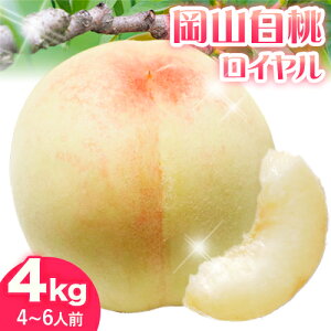 yӂ邳Ɣ[Łzy2026N stzRiCj1.5kg 2kg 4kg L yXs7{-8{oׁtR Os   C  ʕ t[c