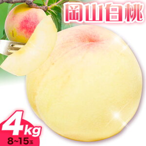 yӂ邳Ɣ[Łzy2026N stz R 4kg 8`15 s7{-8{oח\tL yX RY R Os