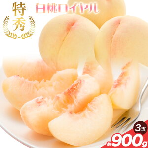 yӂ邳Ɣ[Łzy2026NY stzRY G C 900g (3) yXs2026N7{-2026N8{oׁtR Os  ʕ t[c Y  Ӑi 
