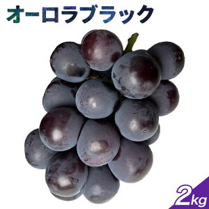【ふるさと納税】ぶどう【2026年発送】岡山県備前市産 樹上完熟「オーロラブラック」(露地栽培)選べる内容量 1房(約600g)約2kg 《8月中旬-9月中旬頃出荷》株式会社フルーツパーク備前 岡