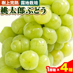 yӂ邳Ɣ[ŁzԂǂy2026NzROsY ㊮n YԂǂ(In͔|) Iׂe 2kg 1[×4 t[cp[Nтs9{-10{oׁtR Os Y