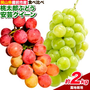 yӂ邳Ɣ[ŁzԂǂy2026NzROsY ㊮nu|NC[vuYԂǂviIn͔|j 2kg@lZbg s9{-9{oׁtЃt[cp[NO