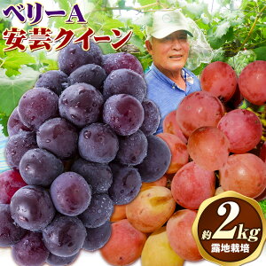 yӂ邳Ɣ[ŁzԂǂy2026NzROsY ㊮nux[Avu|NC[v2ZbgiIn͔|j 2kg s9{-9{oׁtЃt[cp[NO R 