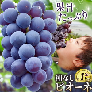 yӂ邳Ɣ[ŁzԂǂ y2026NzROsY ㊮nusI[lviIn͔|j2[i1[500gȏjs8{-9{oׁtЃt[cp[NO R Os  t
