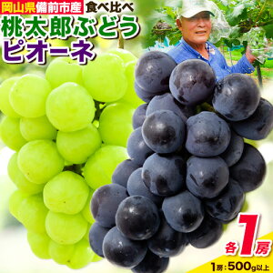 yӂ邳Ɣ[Łzy2026NzԂǂ YԂǂ sI[l e1[i500gȏj ROsY Ȃ t[cp[Nт s8{-9{oׁtR Os  t[c ʕ