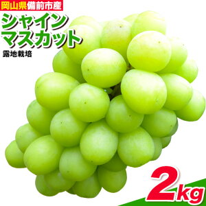 yӂ邳Ɣ[ŁzԂǂy2026NzROsY ㊮n VC}XJbg(In͔|) Iׂe 1[i600gOj2kg t[cp[Nтs9-10oׁtR Os 