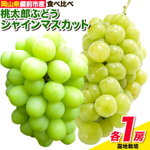 yӂ邳Ɣ[ŁzԂǂy2026NzROsY ㊮n VC}XJbgEYԂǂ 2Zbg e1[i1[500gȏj Iׂ͔|@ In͔| nEX͔| t[cp[Nт