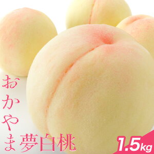 yӂ邳Ɣ[Łzy2026NzROsY ㊮n ܖ 1.5kg 4`6 t[cp[Nтs7{-7{oׁtR Os R R   