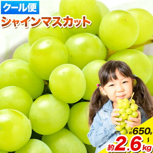 yӂ邳Ɣ[Łzy2026N\tIz󂠂VC}XJbg RY 650g 1kg 1.3kg 1.8kg 2.6kg t[c 2[ Ԃǂ ƒp s9{`11{oׁtR OsyyV