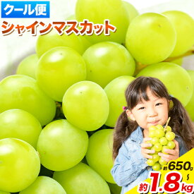 【ふるさと納税】【2026年予約受付中！】訳ありシャインマスカット 岡山県産 約650g 約1.3kg 約1.8kg フルーツ 2房 ぶどう ご家庭用 《9月中旬～11月中旬出荷》岡山県 備前市【楽天限定】 先行予約 送料無料