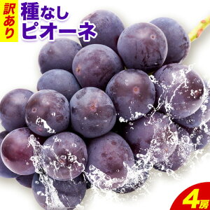 yӂ邳Ɣ[Łz󂠂 sI[l RY v1.2kg 2[ v2.4kg 4[s9{-11{oׁtR Os  ʕ t[c Ԃǂ XC[c  ƒp j[sI[l Ȃ