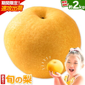 �y�ӂ邳�Ɣ[�Łz�y���U�o�ׁI�z����K�i�I ���R���Y �󂠂� �{�̗� ��2kg (2�`4��) �� �Ȃ� �i�V �ʕ� �������� �t���[�c ���Ε� �M�t�g ���R�� ���O�s �V���� ���H�� ���� ������