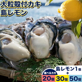 【ふるさと納税】【牡蠣-1 グランプリ受賞！】日生頭島大粒殻付き牡蠣「島のしずく」 ( 加熱用・選べる 20個 30個 50個 ) と「島レモン」《2027年1月上旬‐4月上旬頃より出荷予定》岡山県 備前市 牡蠣 かき　※島レモン収穫内容により「牡蠣2個」に変更の場合がございます。