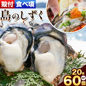 【ふるさと納税】【牡蠣-1グランプリ受賞】【厳選！】日生頭島殻付牡蠣「島のしずく」（加熱用：食べ頃サイズ 20個 or 60個）《2027年1月上旬‐4月上旬頃より出荷予定》岡山県 備前市 牡蠣 かき