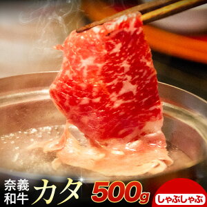 yӂ邳Ɣ[Łzދ`a J^ oC[߁I Iׂ Ԃԗp Ăp 500g  Vs30ȓɏoח\(yjtR Os a   J^ Ԃ