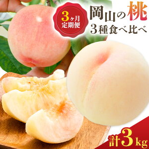 yӂ邳Ɣ[Łzy2026Ns\z 3  R   3 Hה e1kg v3kg ̍܊فs2026N7{]9{oׁtR Os   ʕ t[c fU[