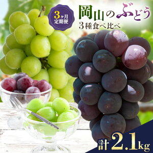 yӂ邳Ɣ[Łzy2026Ns\zԂǂ 3  R  Ԃǂ 3 Hה e700g v2.1kg ̍܊2026N8{-10{oׁtR Os YԂǂ VC