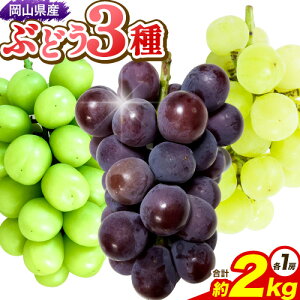 yӂ邳Ɣ[ŁzԂǂ RYԂǂ3Zbg VC}XJbg1[ I[ubN1[ ˃WCAc1[ 2kg(3[) Ђ悤 s9{-9{oׁtR O