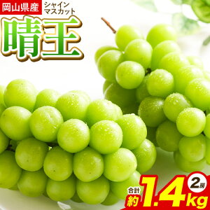 yӂ邳Ɣ[ŁzVC}XJbg RYVC}XJbg 1.4kg(2[) Ђ悤 s9{-9{oׁtR Os VC}XJbg  Ԃǂ