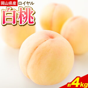 yӂ邳Ɣ[Łz2026Ns\  RYC Iׂe 1.5kg(5-7) 2kg(7-9) 4kg(14-18) Ђ悤 s6{-8{oׁtӂ邳Ɣ[ R Os 