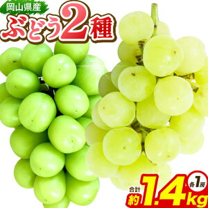 yӂ邳Ɣ[ŁzԂǂ RYԂǂ2Zbg VC}XJbgƐ˃WCAcorYԂǂ 1.4kg(2[) Ђ悤 s9{-9{oׁtR Os VC